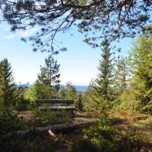 Utsiktstorn &Auml;rter&aring;sen