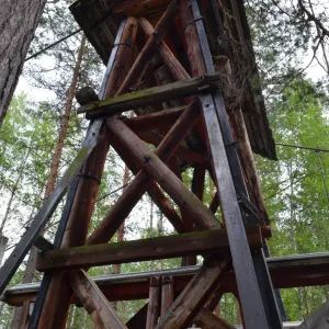 H&auml;ngbron vid Str&aring;bodarna, Ore&auml;lv