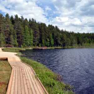Tillhedstj&auml;rn