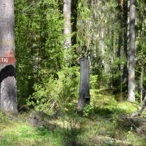 Kyrkstigen i Ore