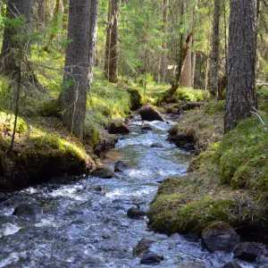 Kalkberget Furudals bruk
