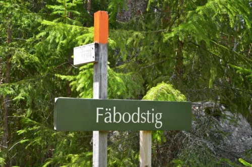 F&auml;bodstig N&auml;set - &Auml;rter&aring;sen 