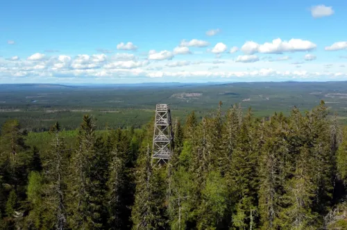 Utsiktstorn p&aring; &Auml;rter&aring;sen