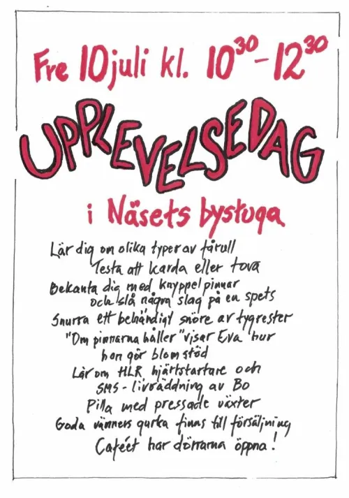 2026-07-10 N&auml;set.jpg