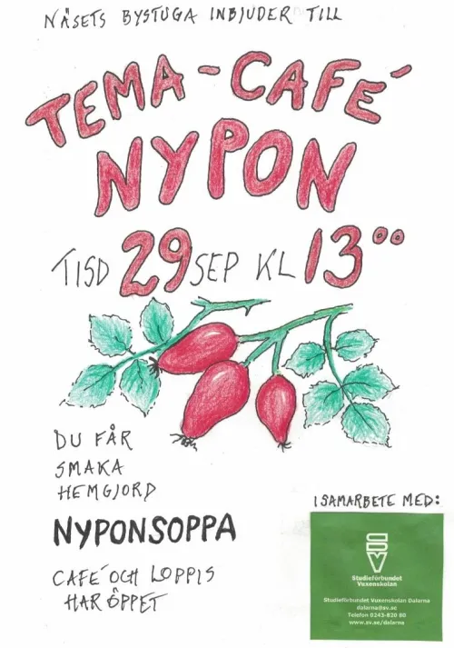2026-09-29 N&auml;set.jpg